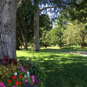 Face Painting Personal Trainer: No Regrets